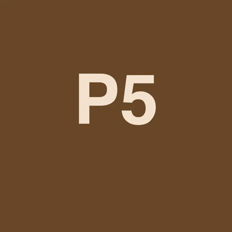 PlayStation 5 Pro 2 TB