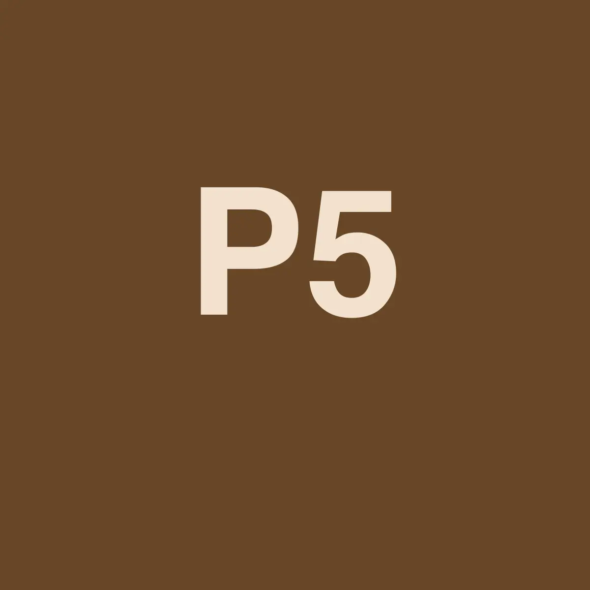 PlayStation 5 Pro 2 TB